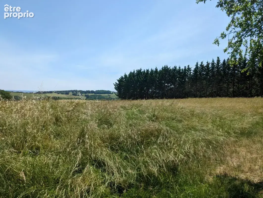 Terrain à SAINTE-COLOMBE-EN-BRUILHOIS