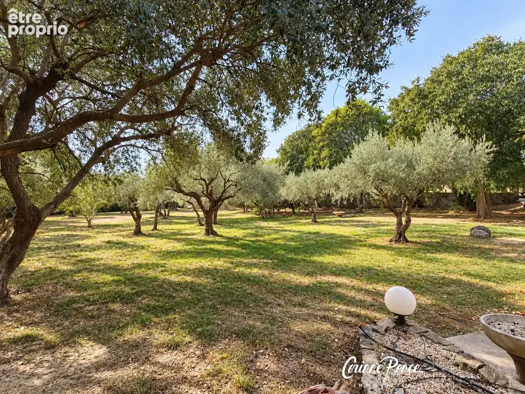Nîmes - collines nord -  maison d’architecte de charme dans un écrin de verdure - photo 3