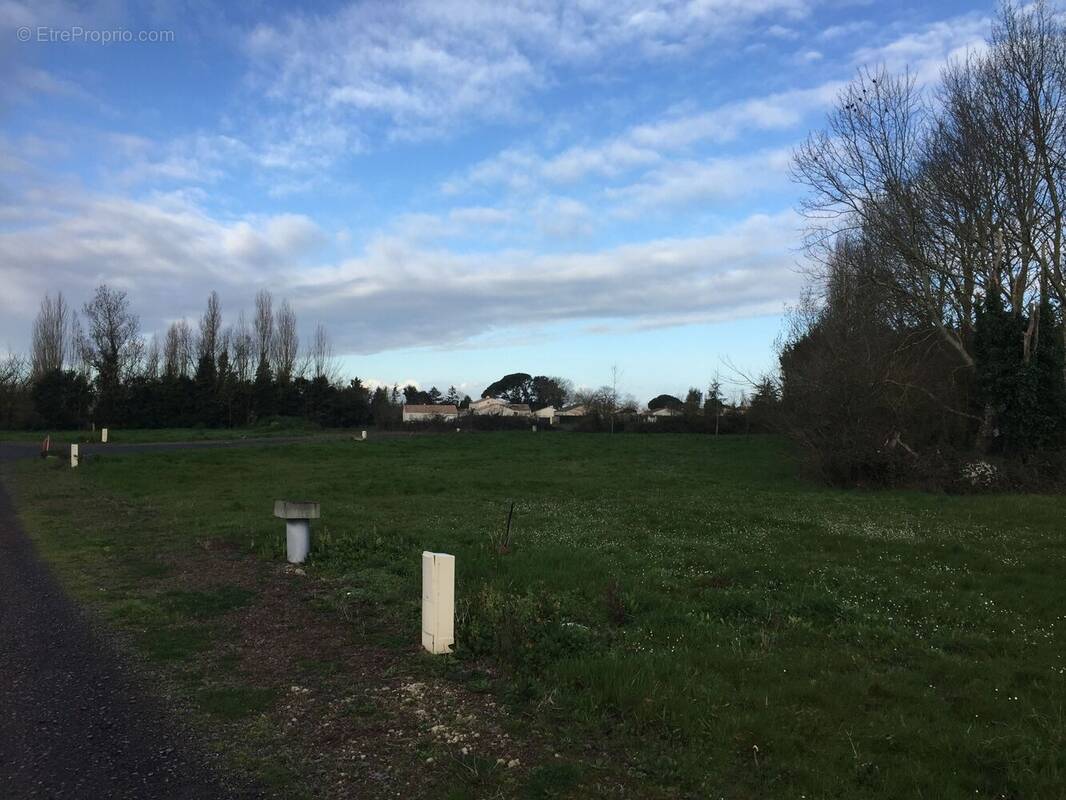 Terrain à CHAMPAGNE-LES-MARAIS