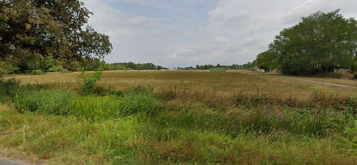 Terrain à LUDON-MEDOC
