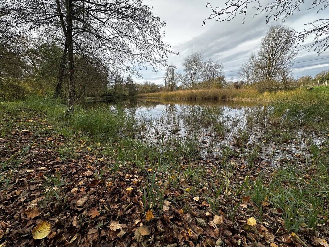 Terrain à AVRILLE-LES-PONCEAUX