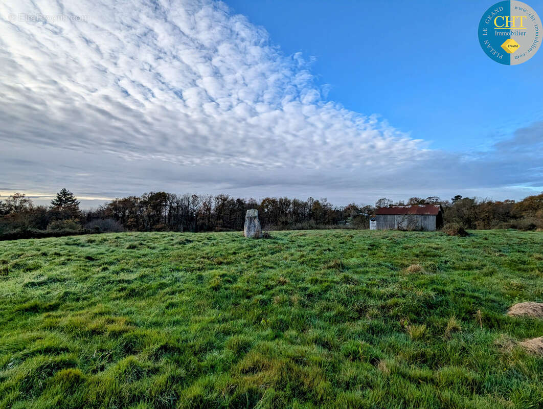 Terrain à bâtir hors lotissement à MONTENEUF - photo 6