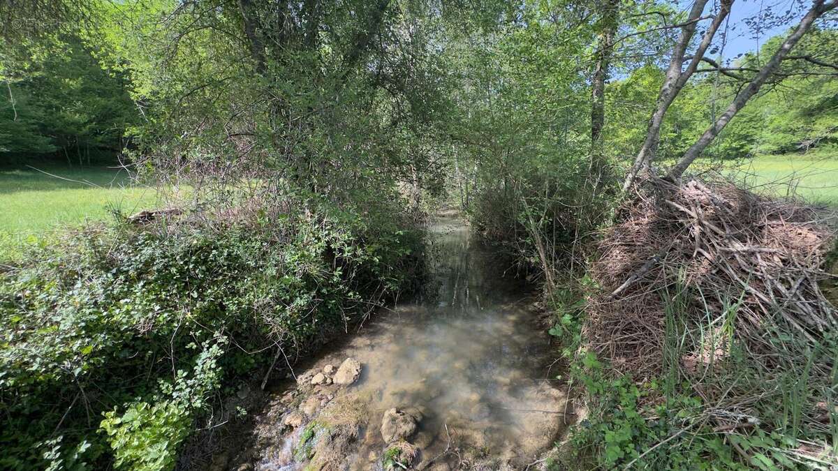 Photo 5 - Terrain à LES EYZIES-DE-TAYAC-SIREUIL