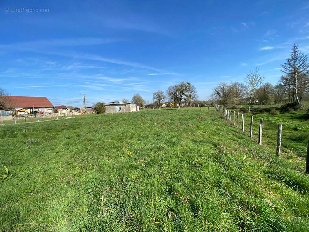 Terrain à SAINT-LEGER-LES-PARAY