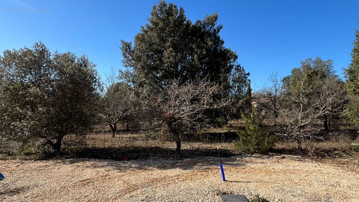 Photo 6 - Terrain à RUSTREL