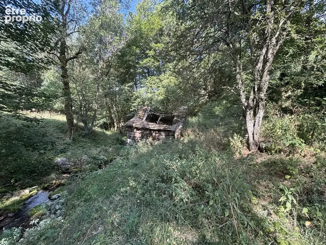 Exclusivité - terrain de 1 716 m² avec deux ruines en pierre - photo 1