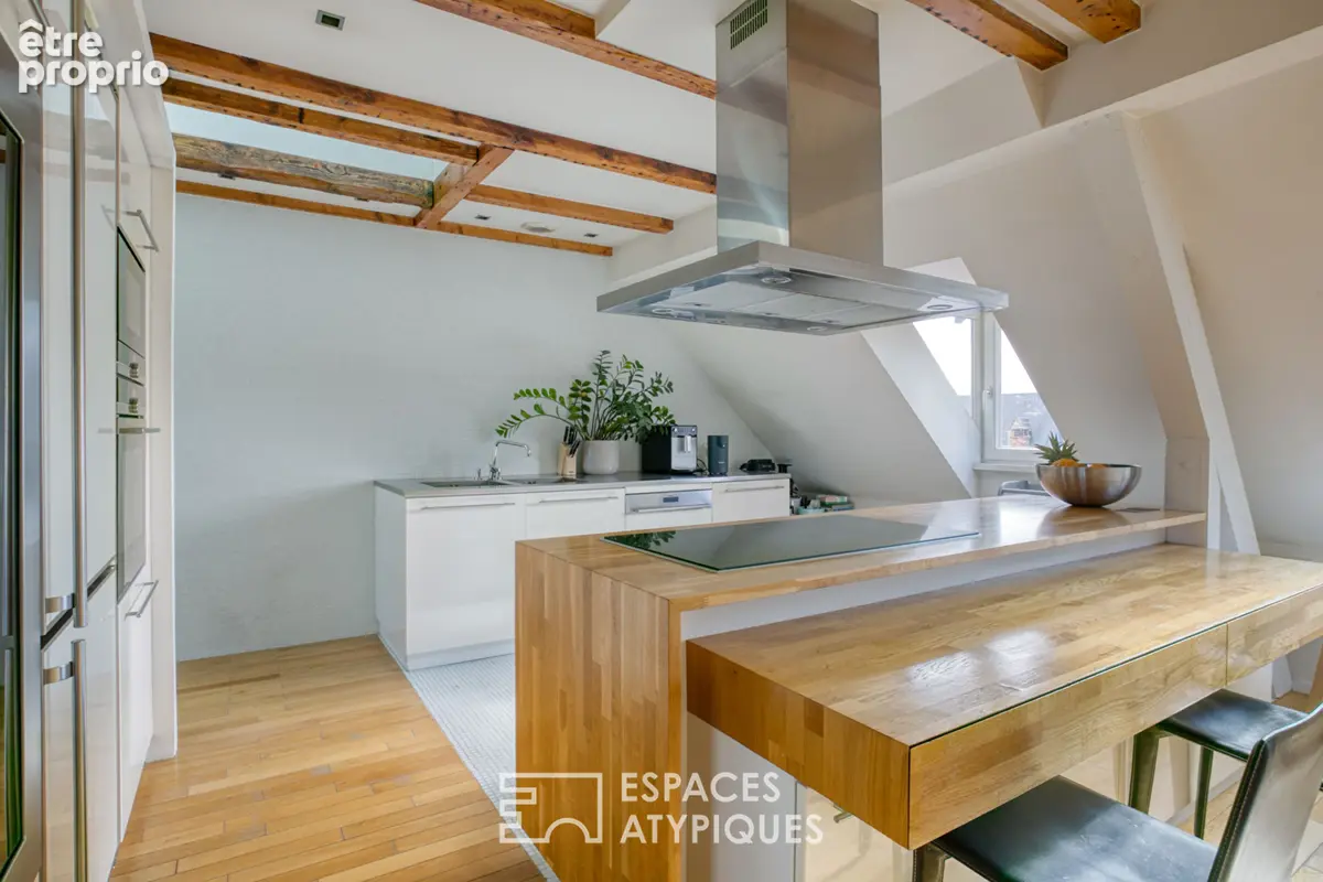 Duplex d'exception sous les toits avec vue Cathédrale - photo 2