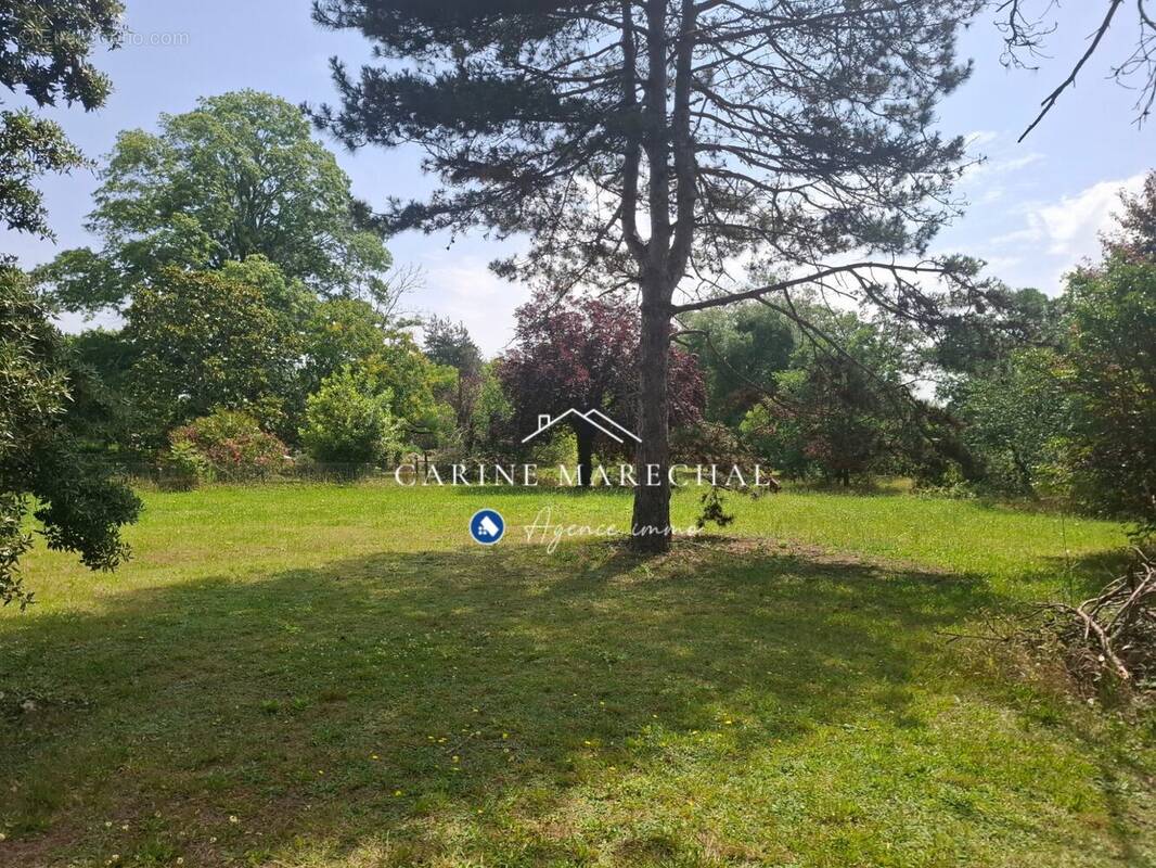 Terrain à TOURNEFEUILLE