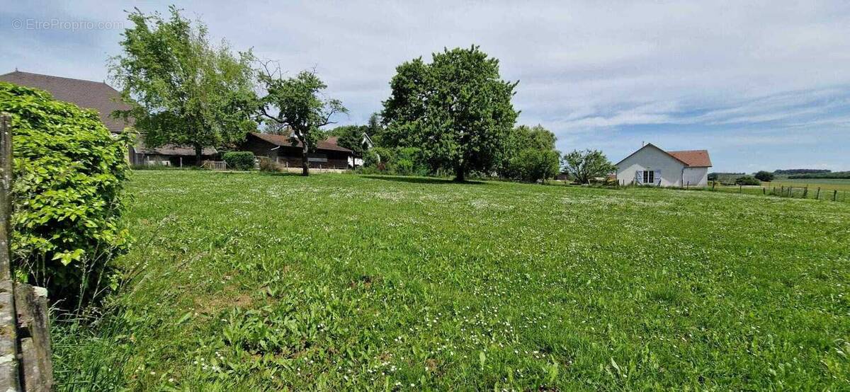 Terrain à SORANS-LES-BREUREY
