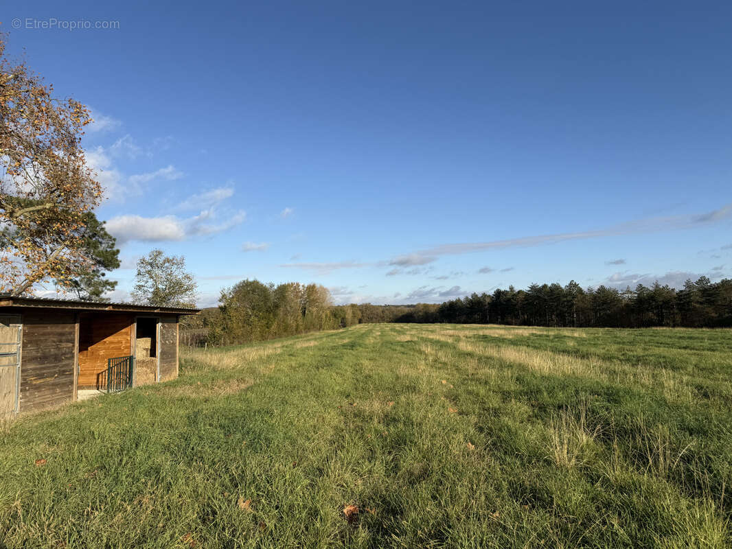 Maison de maitre avec dépendances et piscine au calme sur 11ha à Castelnau d’Auzan Labarrère - photo 28