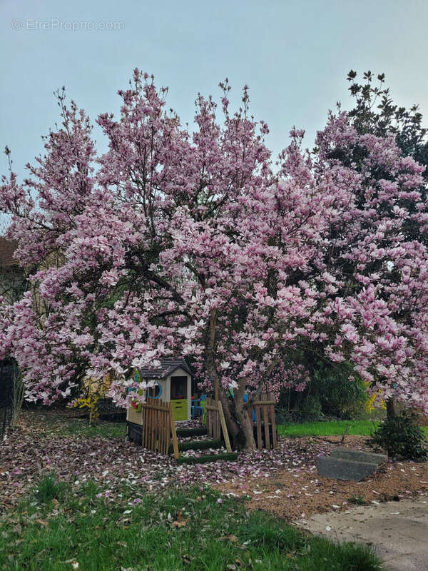 Maison à SAINT-GERMAIN-DES-FOSSES