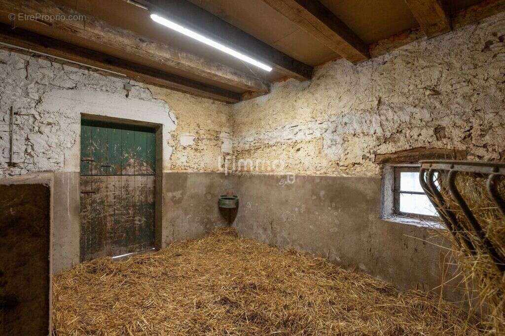 Maison à DOGNEVILLE