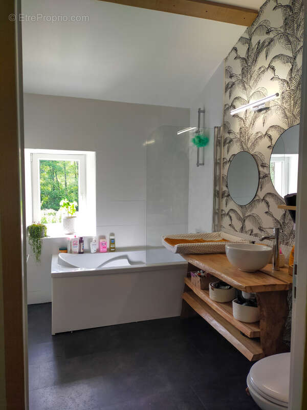 Maison à SAINT-SAUVEUR-DE-MEILHAN