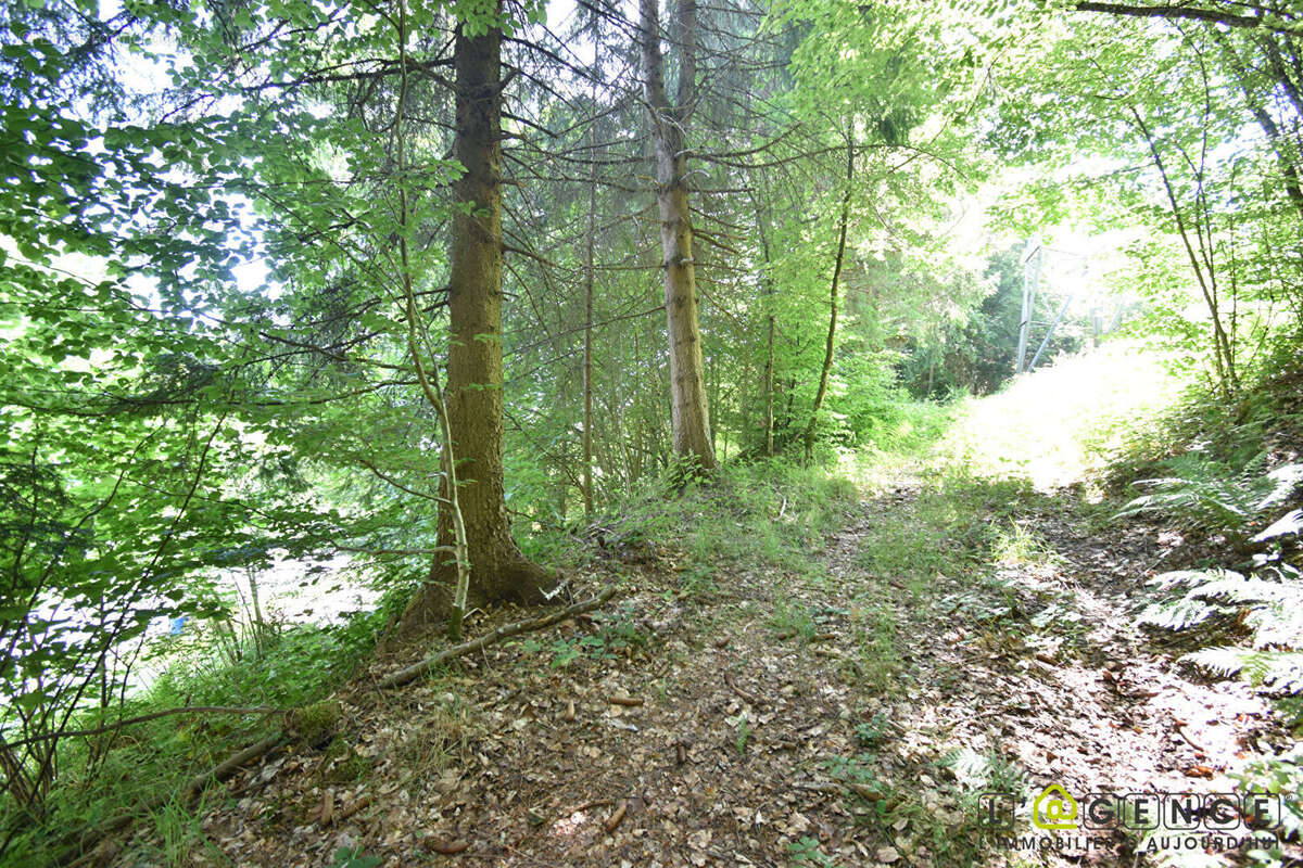 Terrain à ANOULD