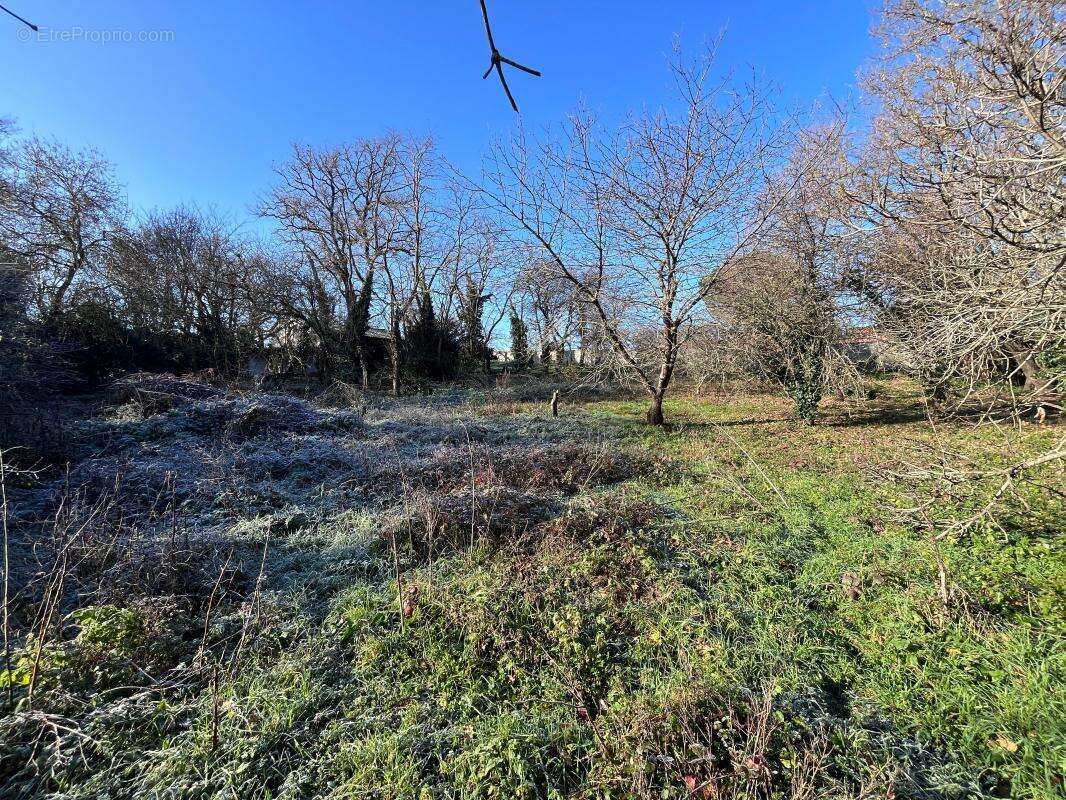 Terrain à MURET