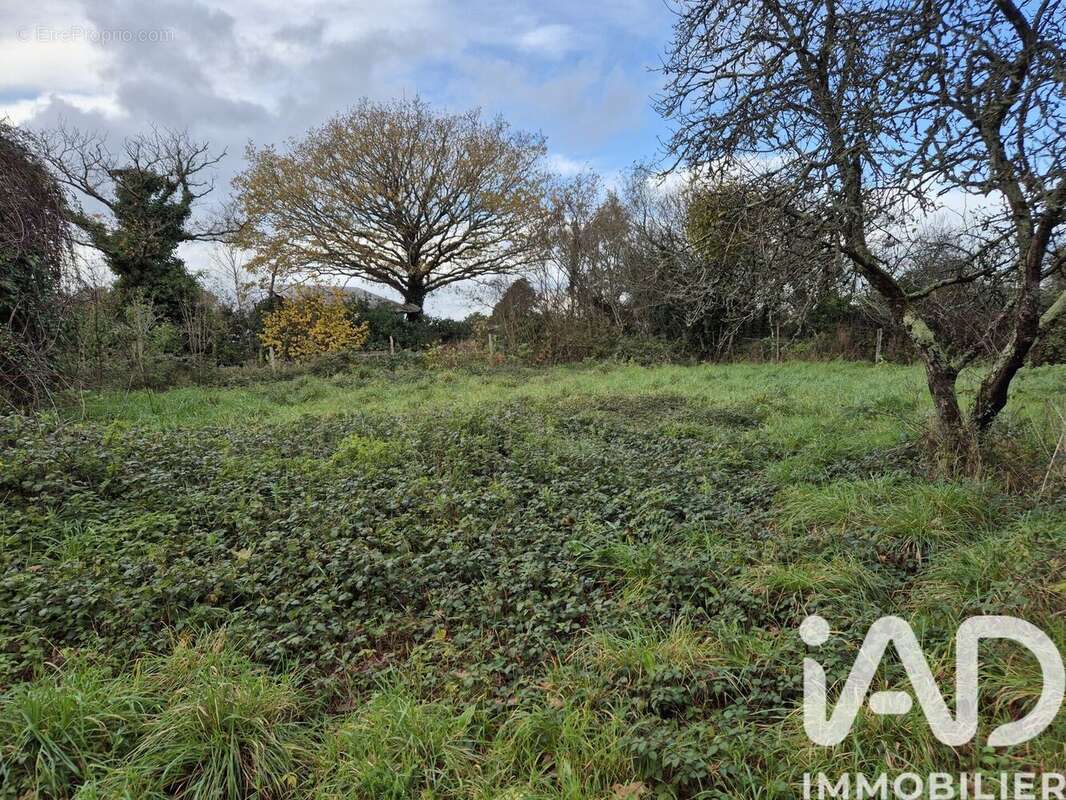 Photo 4 - Terrain à SARZEAU
