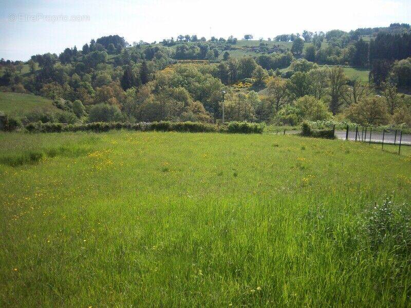 Photo 1 - Terrain à SAINT-DIER-D&#039;AUVERGNE