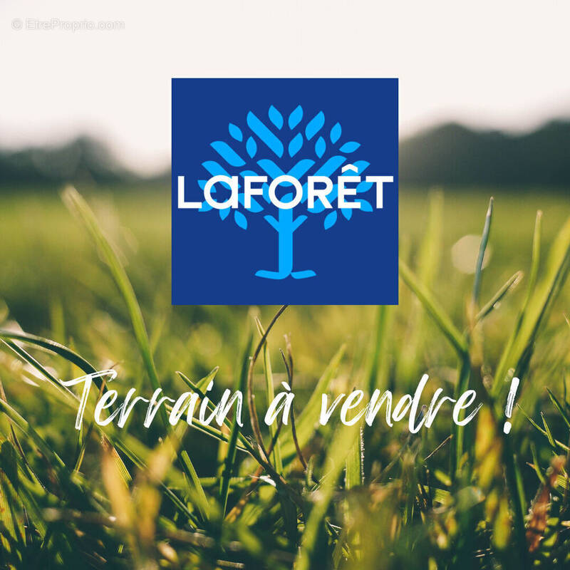 Terrain à CARENTOIR