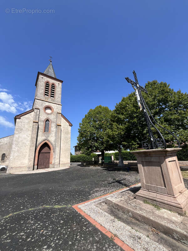 15362 m2 Terrain d'1.5 hectare à vendre à Almayrac, à 20KM d’Albi dans le Tarn (81) - photo 7
