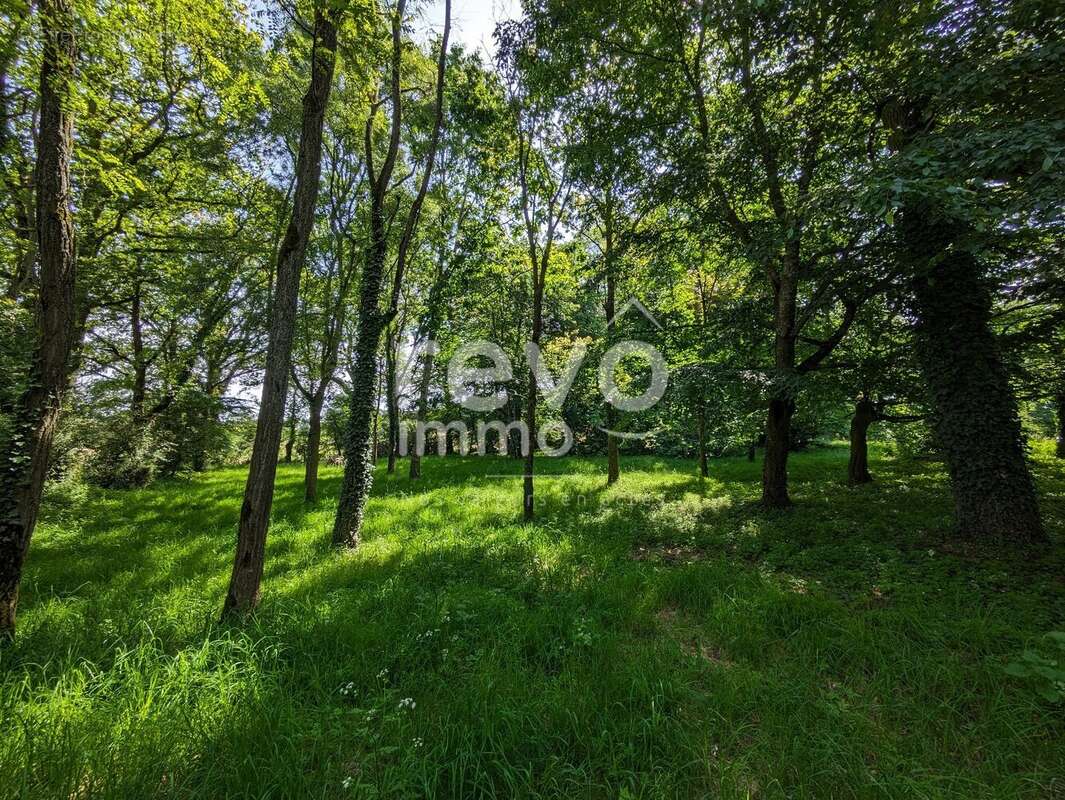 Terrain à SAINT-COLOMBAN