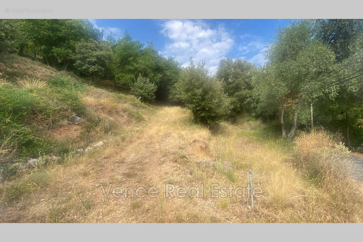 Terrain 5092 m² à Tourrettes-Sur-Loup  - photo 7