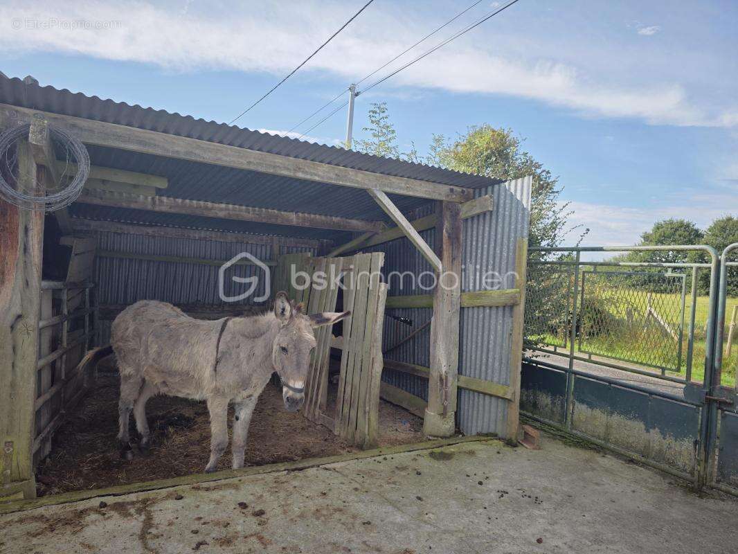 À Vendre – Propriété de 1,7 Hectare aux Portes du Perche - photo 14