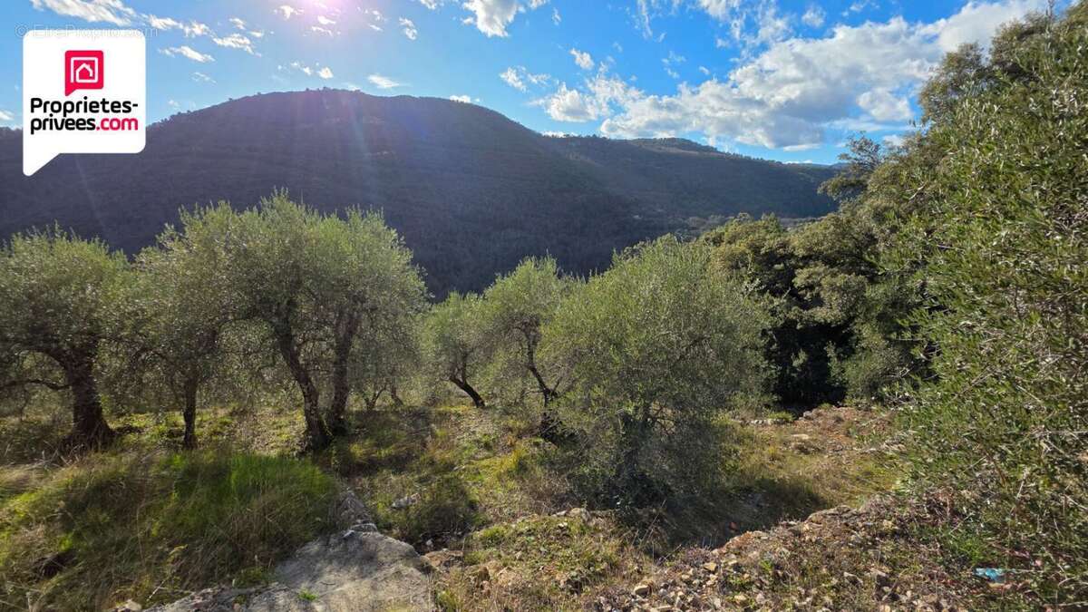 Terrain à SAINT-CEZAIRE-SUR-SIAGNE