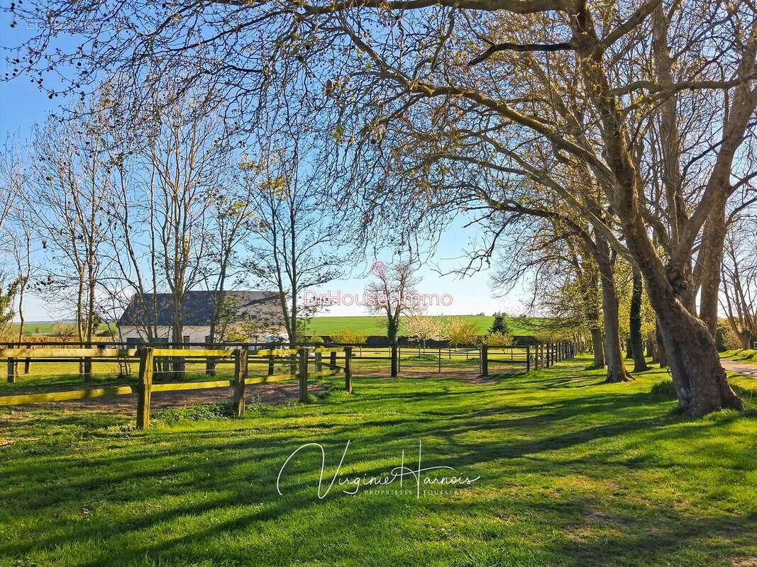Maison 168 m² à Falaise  - photo 42