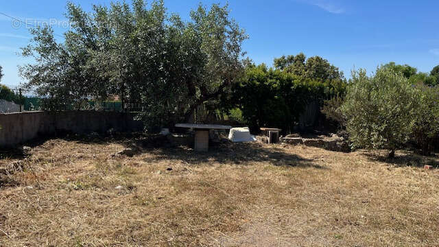 Maison à ROQUEBRUNE-SUR-ARGENS