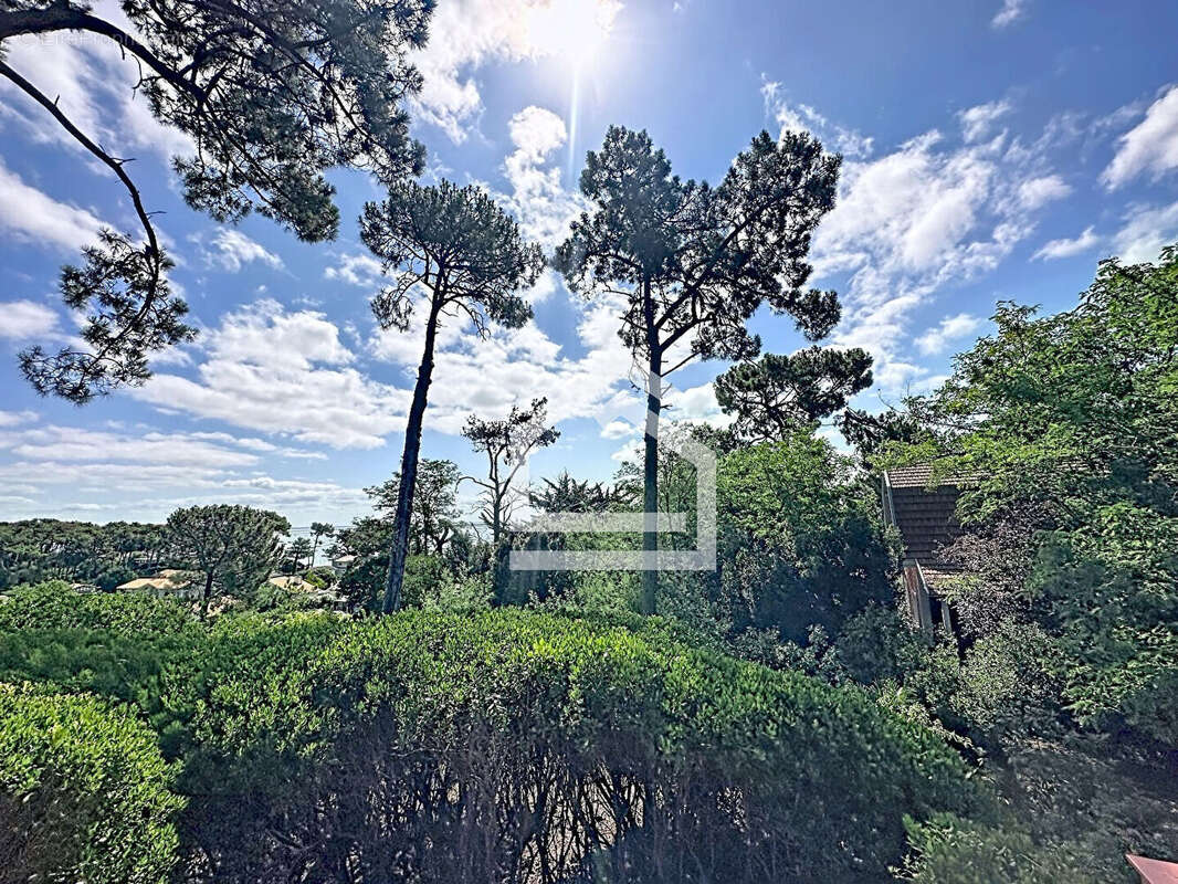 Maison à LEGE-CAP-FERRET