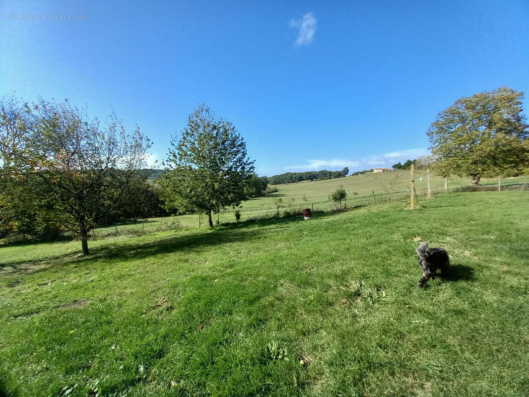 Maison à CONDEZAYGUES