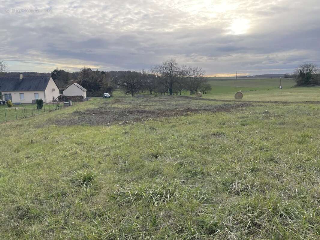 Terrain à LERNE