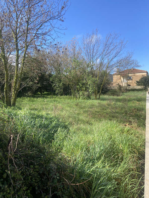 Terrain à LA PENNE-SUR-HUVEAUNE