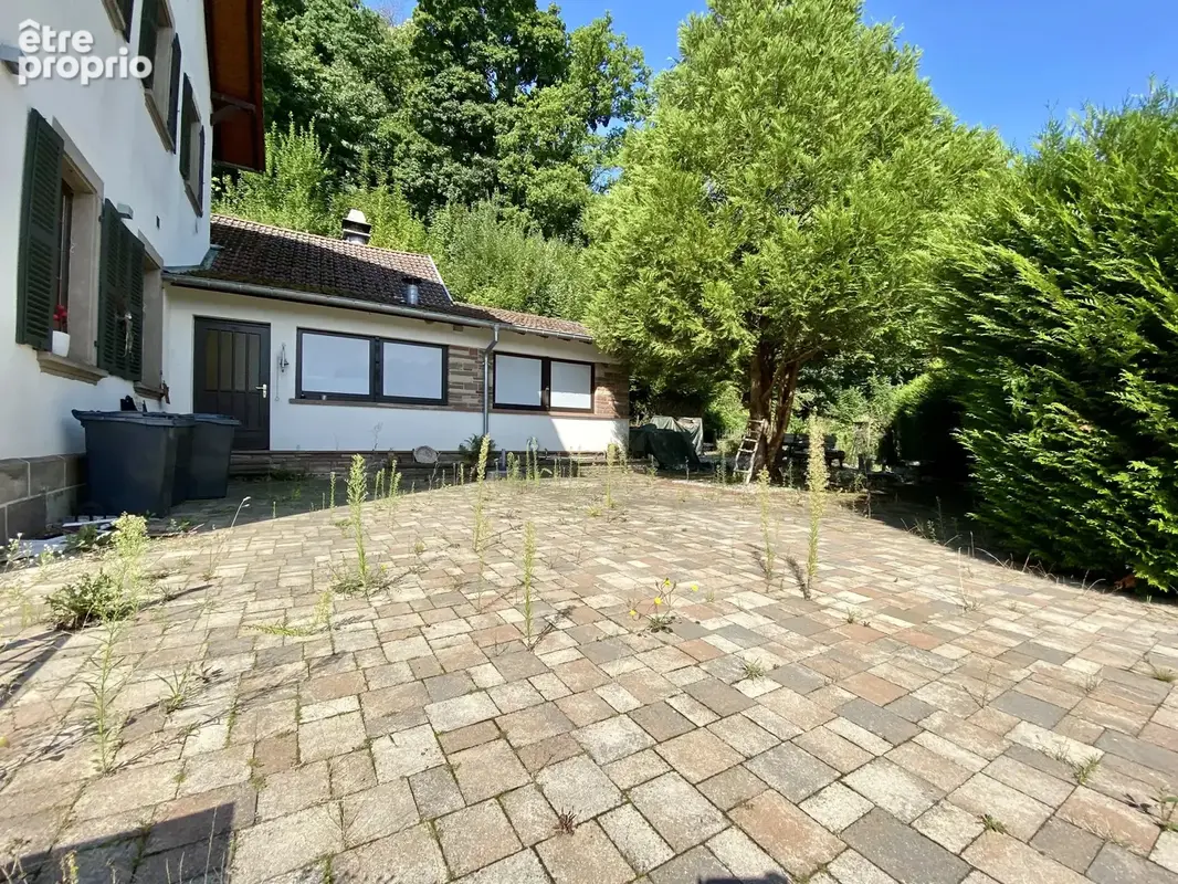 À vendre  Restaurant avec appartement  Adamswiller (67) - photo 3
