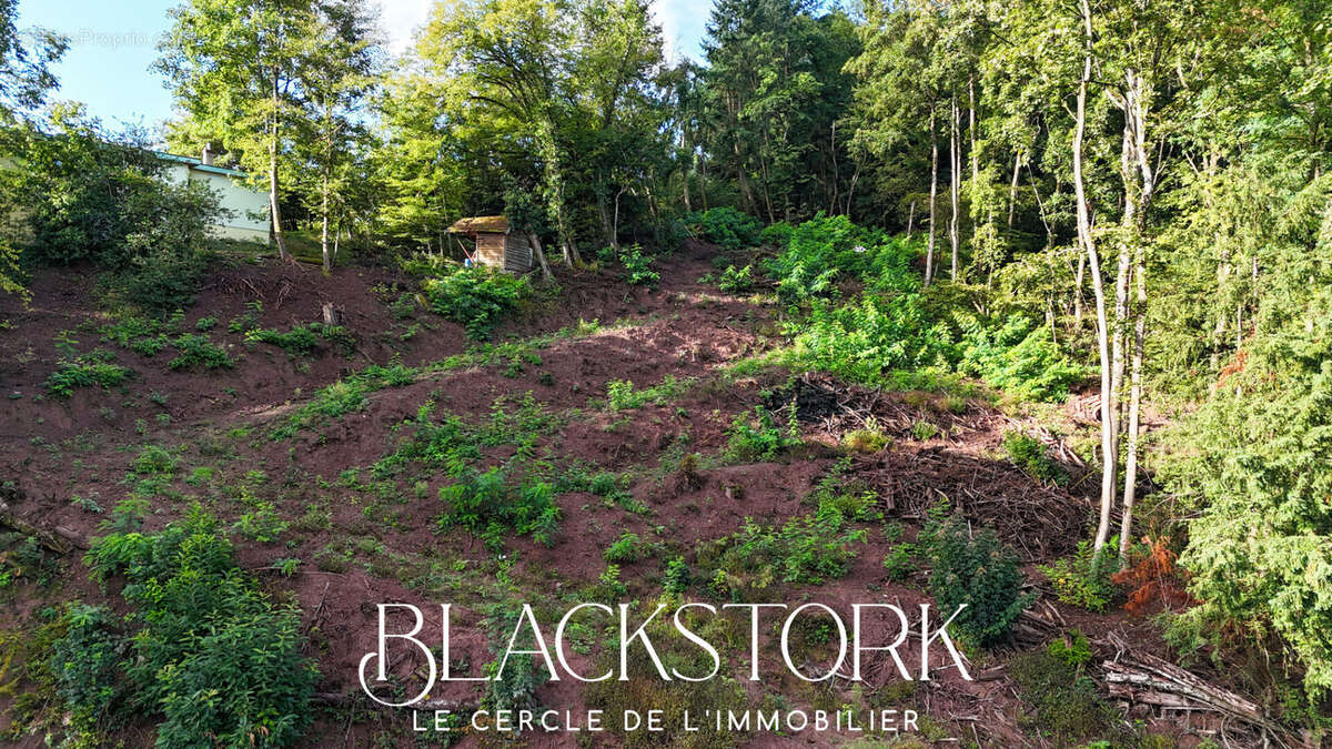 Terrain à GUEBWILLER