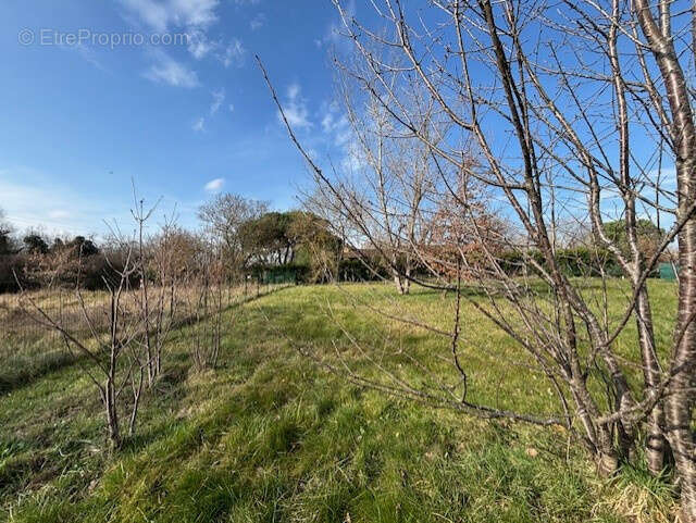 Terrain à LAUNAC