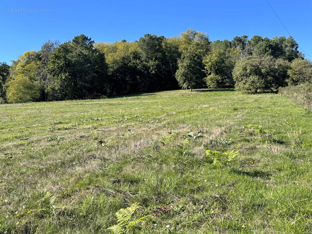 Terrain à VILLAMBLARD
