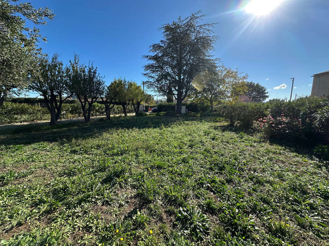 Terrain à PUGET-VILLE