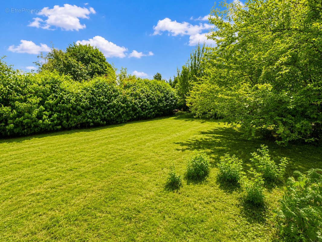 Terrain à bâtir non viabilisé au cœur de Saint-Michel-sur-Rhône   viabilités en bordure - photo 2