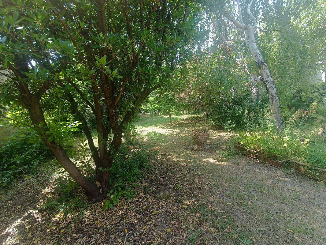 Castelnaudary, maison plain-pied T4, jardin et garage - photo 15