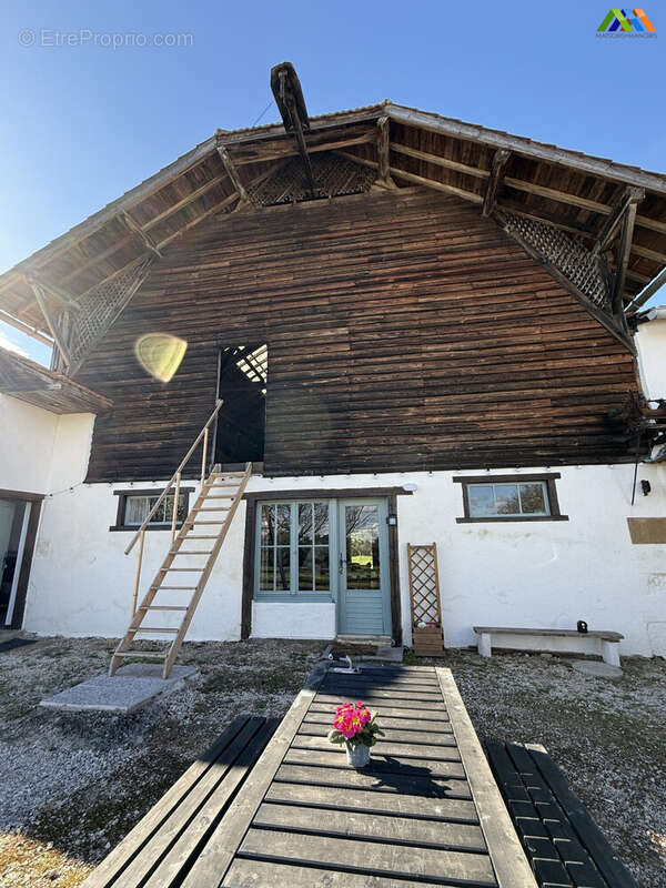 Maison 340 m² à Masseube  - photo 4