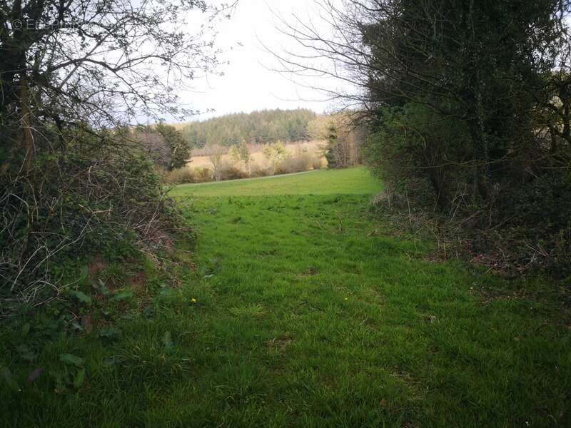 Terrain à PLOURAY