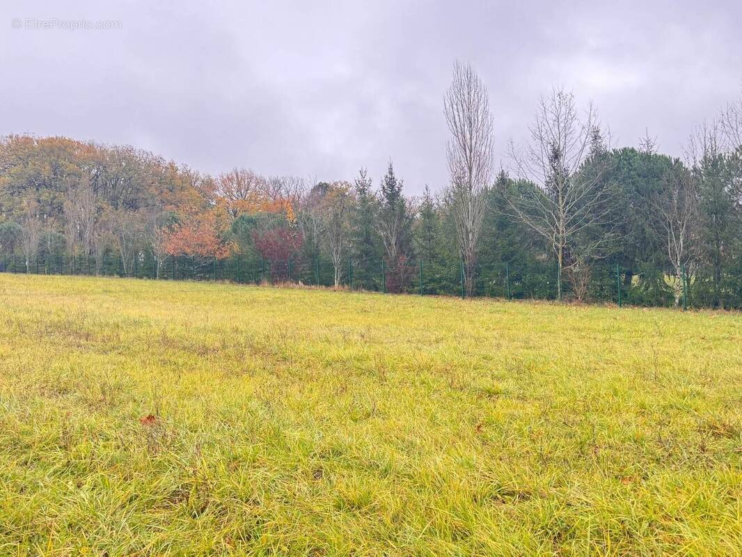 Terrain à MENSIGNAC