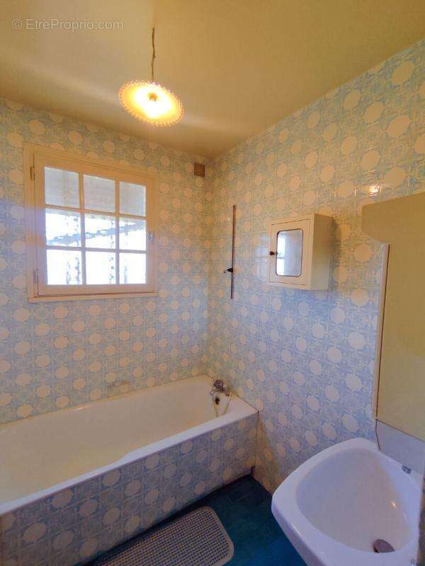 Maison à LA ROCHE-POSAY