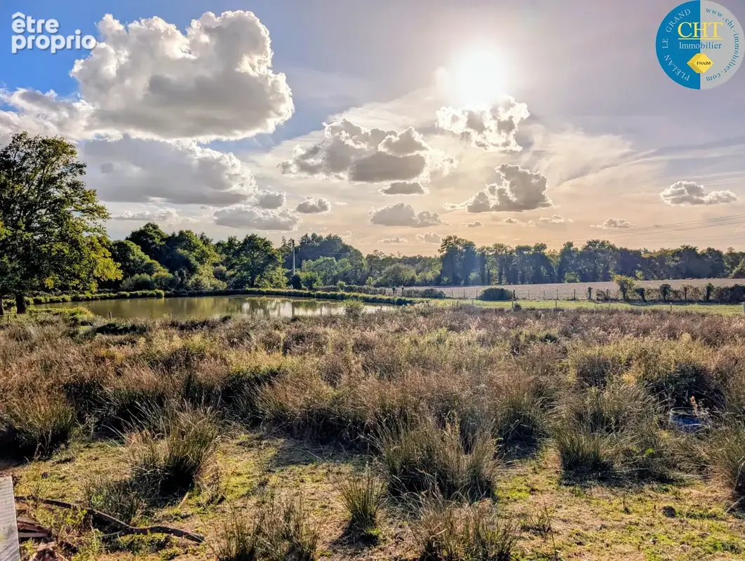 A vendre ÉTANG ET SOURCE sur parcelle d'1,50 hectare À MERNEL (35330) AVEC CHT IMMOBILIER - photo 14