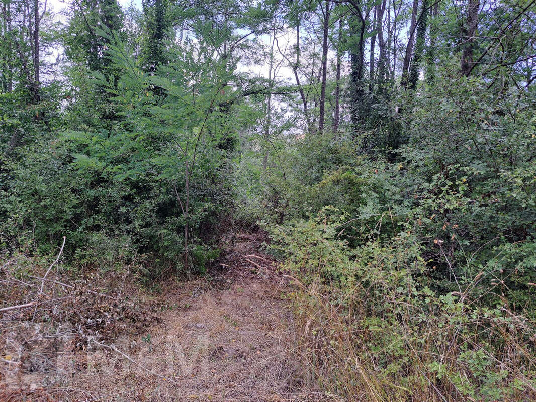 Grand Terrain Constructible - photo 8