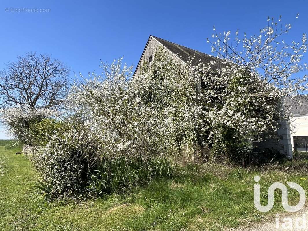 Photo 6 - Terrain à CHAMBOURG-SUR-INDRE