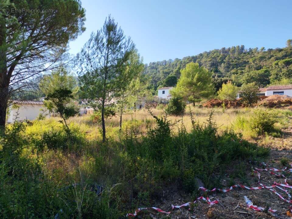Terrain 900 m² à Camps-La-Source  - photo 6