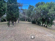 Terrain à ROQUEBRUNE-SUR-ARGENS