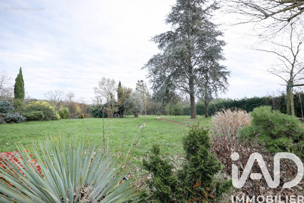 Photo 1 - Maison à LONGUE-JUMELLES
